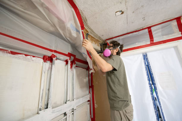 Environmental Consulting for Mold Prevention in Brookneal, VA